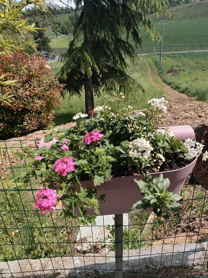 Bb Lady Panzió Castelvetro di Modena Kültér fotó