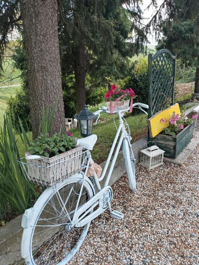 Bb Lady Panzió Castelvetro di Modena Kültér fotó